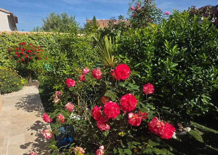 Chambre d'hôtes dans Villa Diane